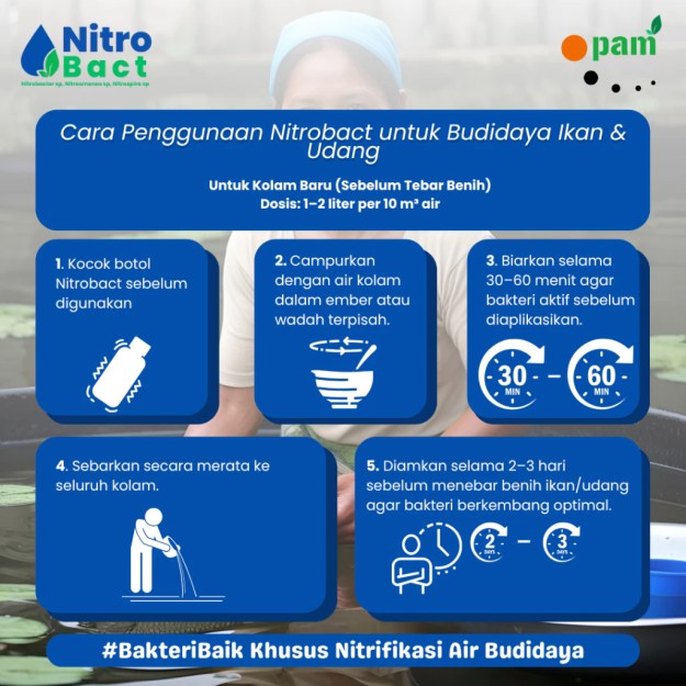 Cara Penggunaan Bakteri Nitrifikasi Perikanan