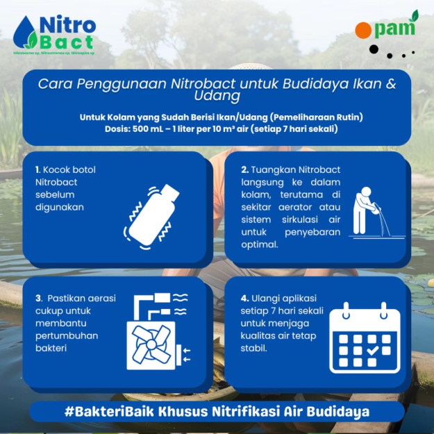 Cara Penggunaan Bakteri Nitrifikasi Perikanan