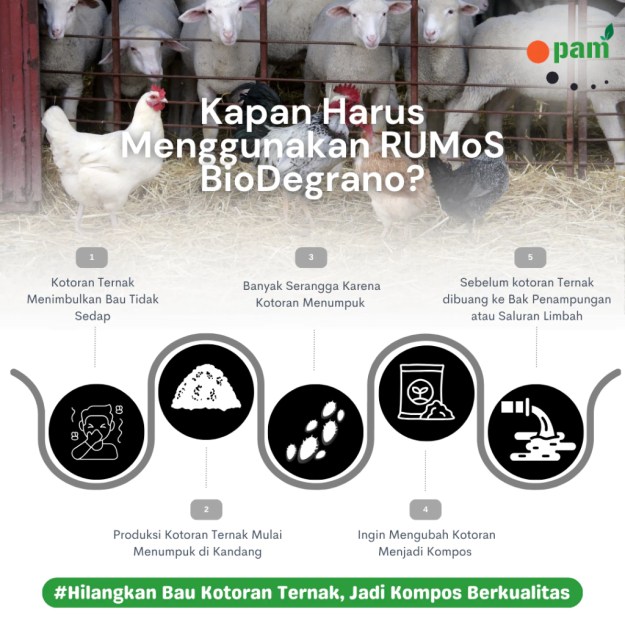 Jual Pengurai Limbah Kotoran Ternak Biodegrano