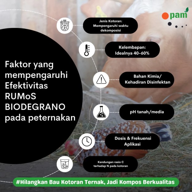 Faktor Keberhasilan Pengurai Limbah Kotoran Ternak