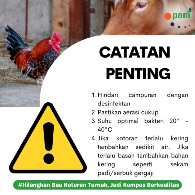 Cara penggunaan pengurai limbah kotoran ternak