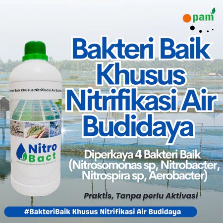 Jual Bakteri Nitrifikasi Perikanan
