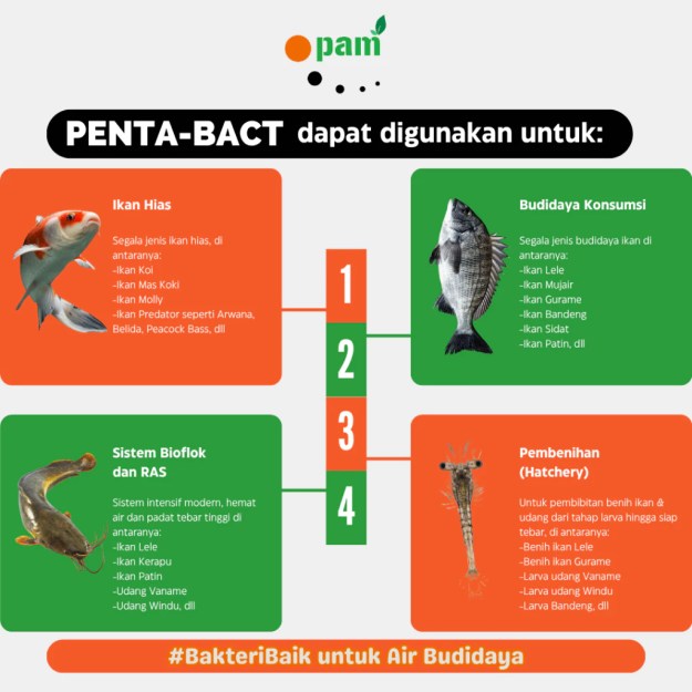 jual bakteri probiotik perikanan