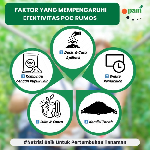 Tips Meningkatkan Efektifitas Pupuk Organik Cair