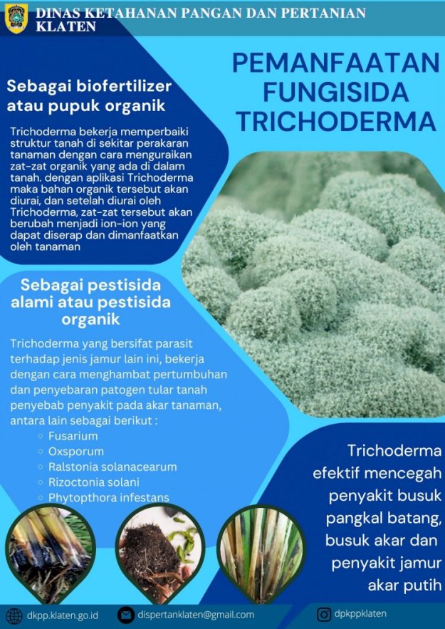 Manfaat Trichoderma Biofungisida