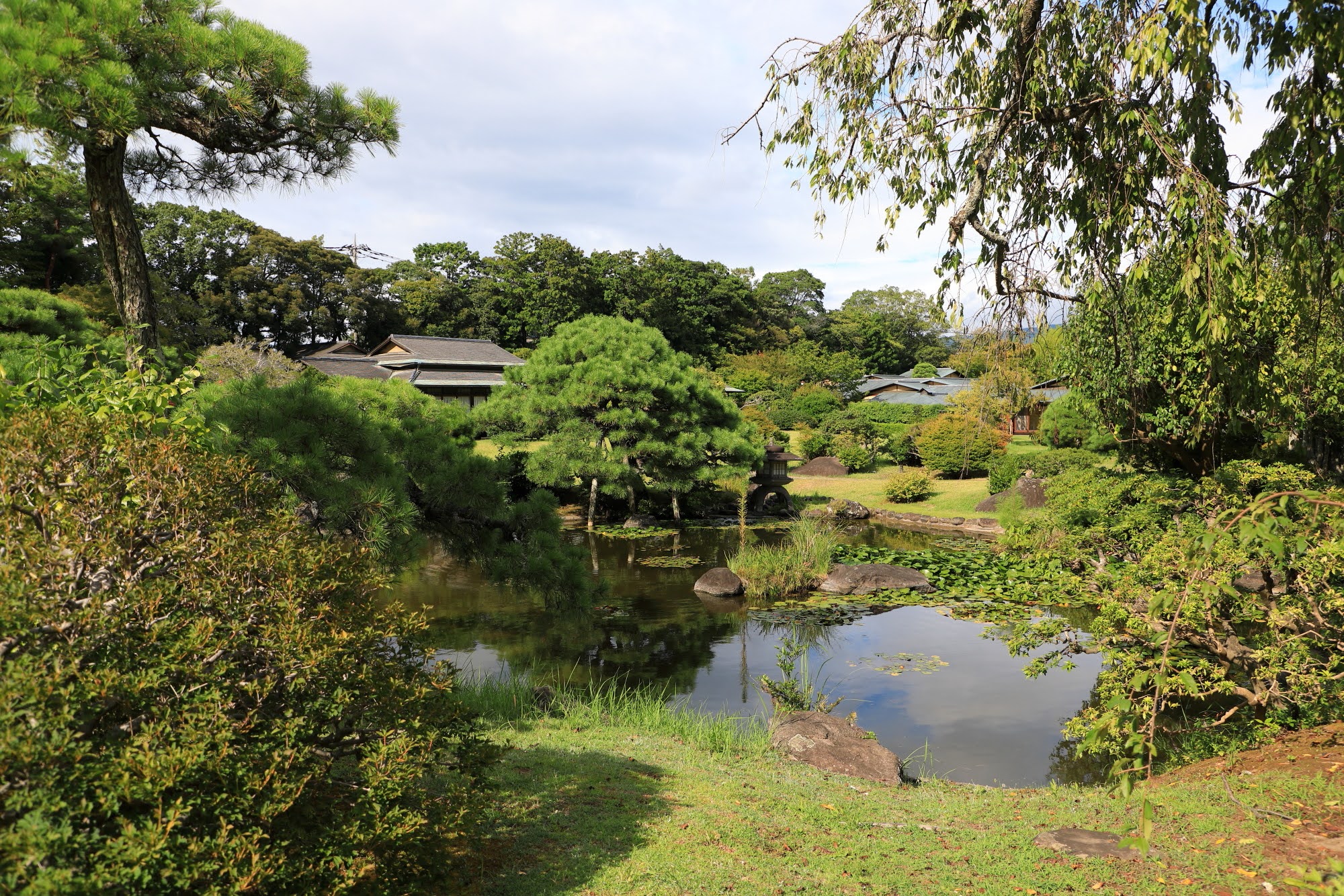 伊豆長岡・温泉旅館「三養荘 -3-」深緑に包まれて歩く一歩一景、夏の