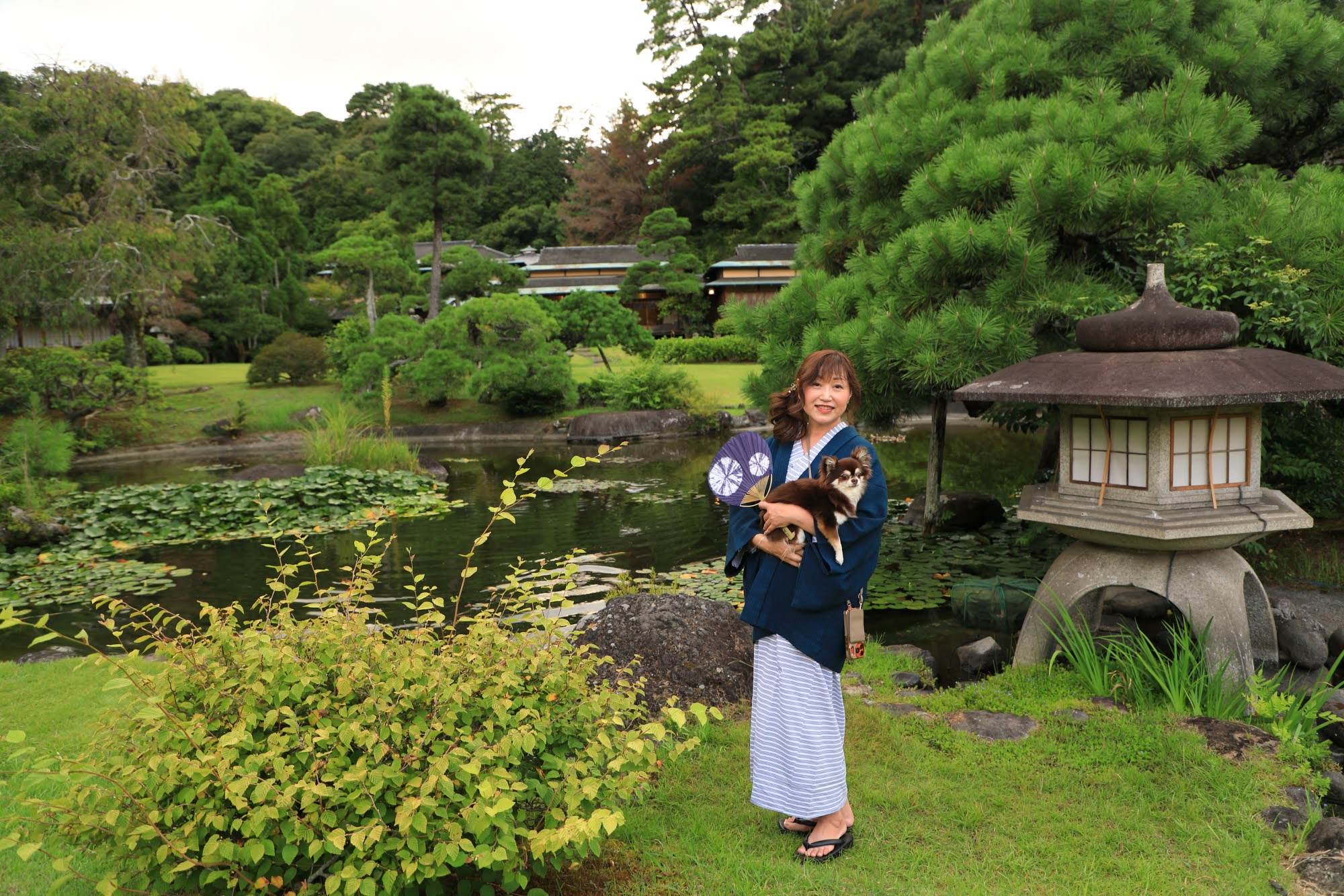 伊豆長岡・温泉旅館「三養荘 -3-」深緑に包まれて歩く一歩一景、夏の