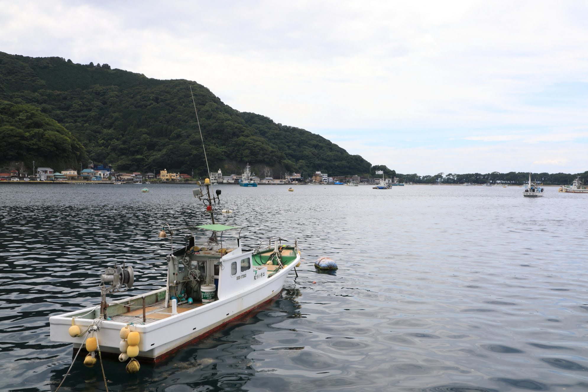 伊豆・ドライブ「修善寺の峠から戸田の港町へ！駿河湾の絶景と出会う