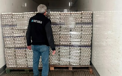 Senasa decomisó más de 308.000 huevos que llegaban a Paraná: el motivo