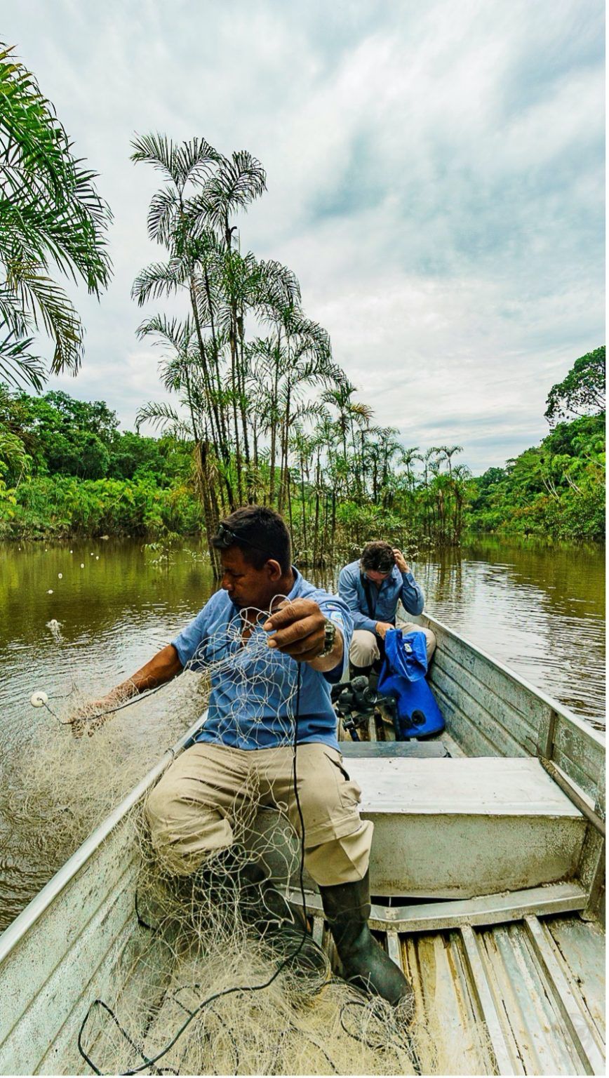 Río Puré, un parque para proteger a los pueblos indígenas en ...