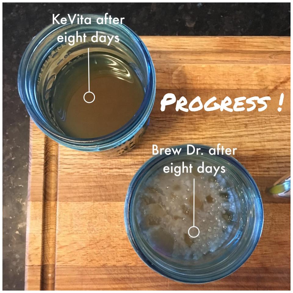 Lady Jupiter makes a SCOBY from store-bought kombucha, AND starts a continuous brew with a purchased SCOBY #homebrew #kombucha #milblogger