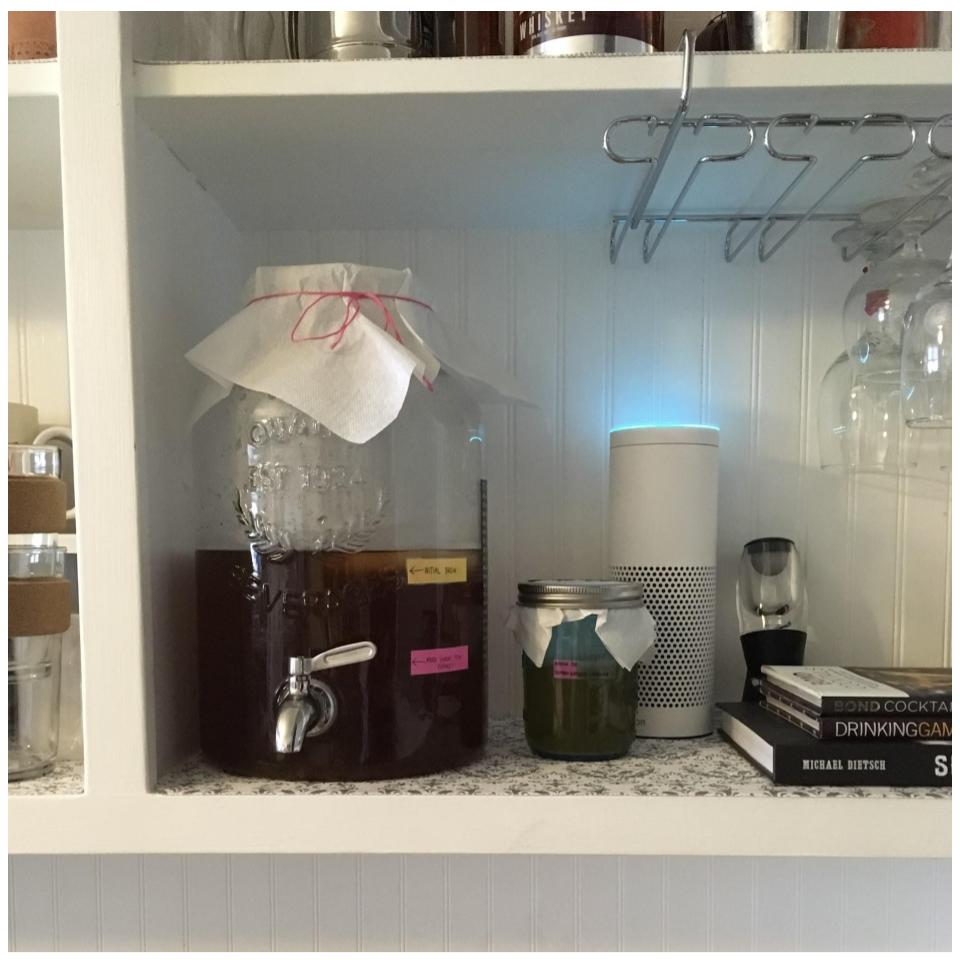 Lady Jupiter makes a SCOBY from store-bought kombucha, AND starts a continuous brew with a purchased SCOBY #homebrew #kombucha #milblogger