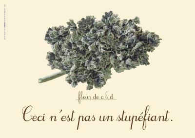 CBD: Ceci n'est pas une fleur