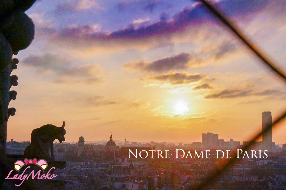 巴黎景點》巴黎聖母院免預約登頂/怪獸與夕陽重現鐘樓怪人完美氣氛