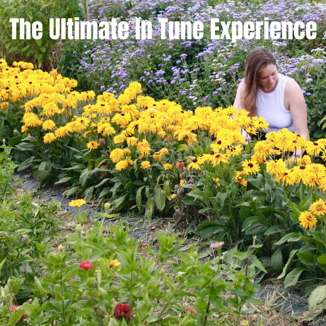 In Tune, women's health, fertility