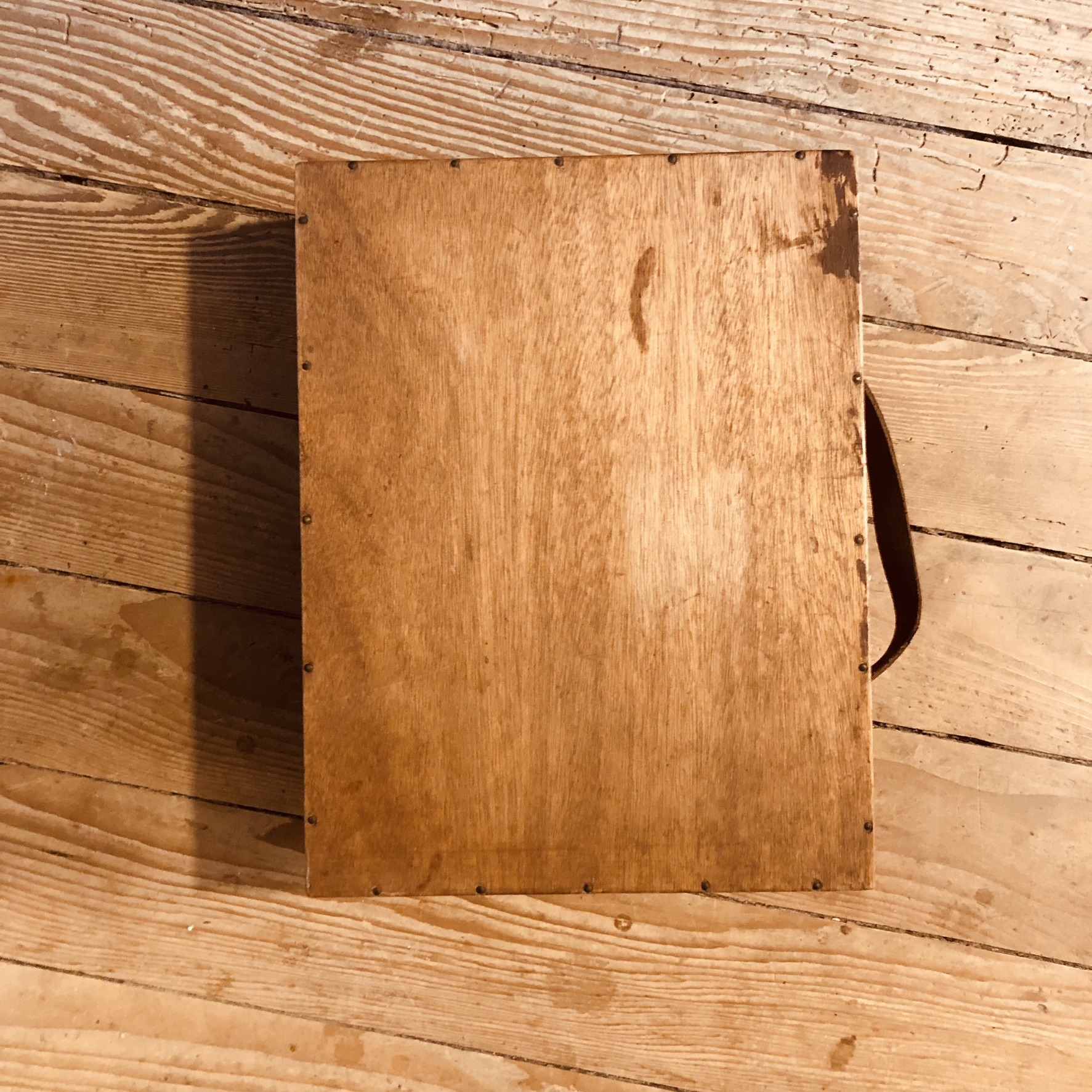 Coffret de base d'un cabinet de curiosités par La Fabrique de Mots Magiques