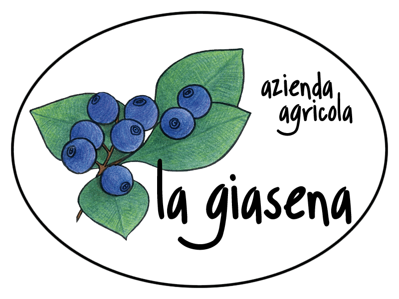 Lavorazione Conto Terzi - Laboratorio Di Trasformazione - Azienda Agricola La Giasena 600_x_800_png