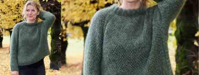 Pull point de blé