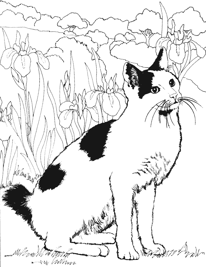Cet animal est adoré de la plupart d'entre nous, et ça depuis la nuit des. 260 dessins de coloriage chat à imprimer sur LaGuerche.com ...