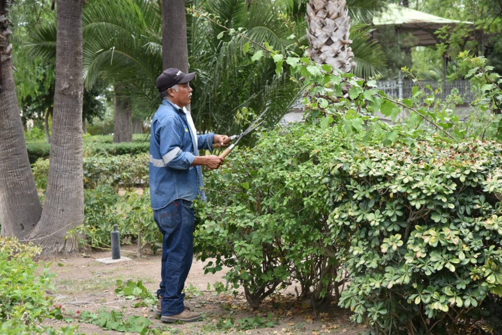 VECINOS SUMAN ESFUERZOS CON EL MUNICIPIO DE AGUASCALIENTES EN EL MANTENIMIENTO INTEGRAL DE ESPACIOS PÚBLICOS