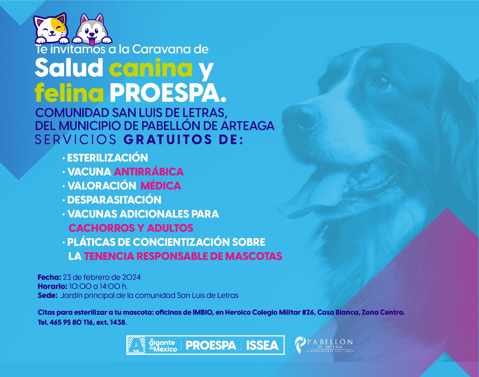 Servicios veterinarios gratuitos este viernes en Pabellón de Arteaga