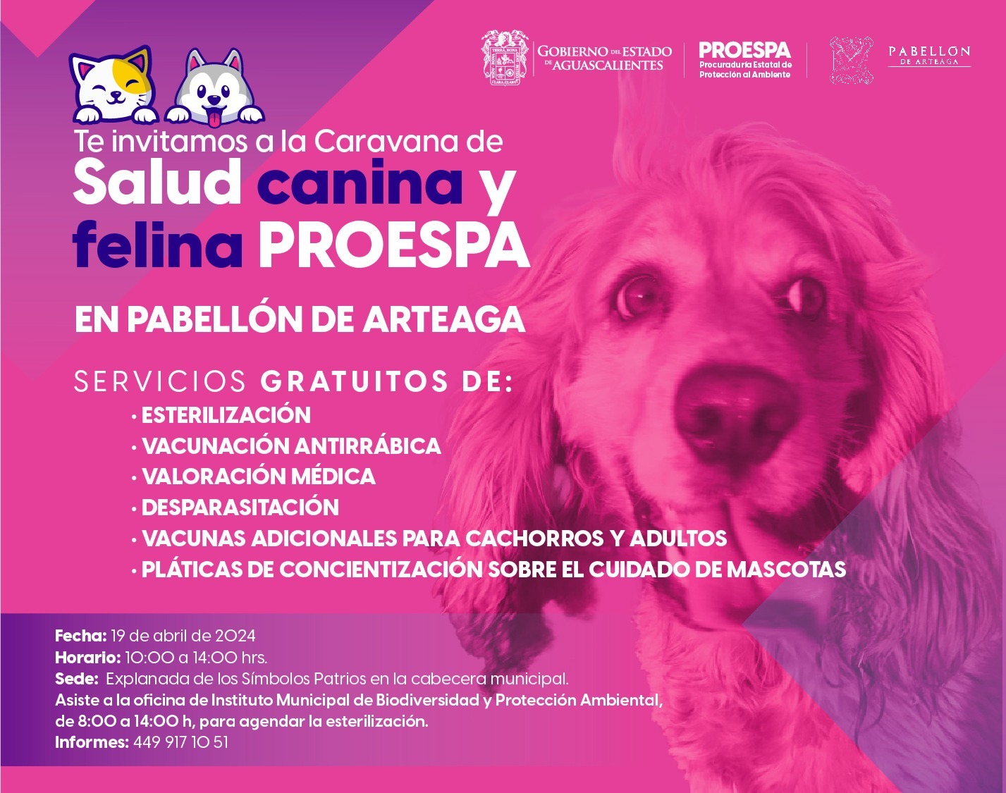 ESTA SEMANA SERVICIOS VETERINARIOS GRATUITOS EN PABELLÓN DE ARTEAGA Y AGUASCALIENTES