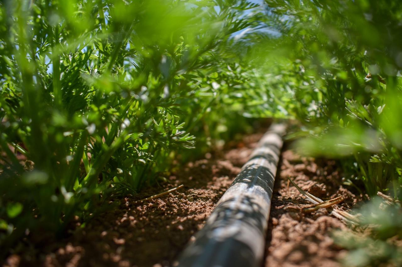 AGUASCALIENTES SE PREPARA PARA REDUCIR IMPACTO DE LA SEQUÍA