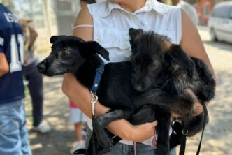 INVITA MUNICIPIO A PARTICIPAR EN LAS PRÓXIMAS FECHAS DE LA CAMPAÑA DE ESTERILIZACIÓN EN EL QUIRÓFANO VETERINARIO MÓVIL