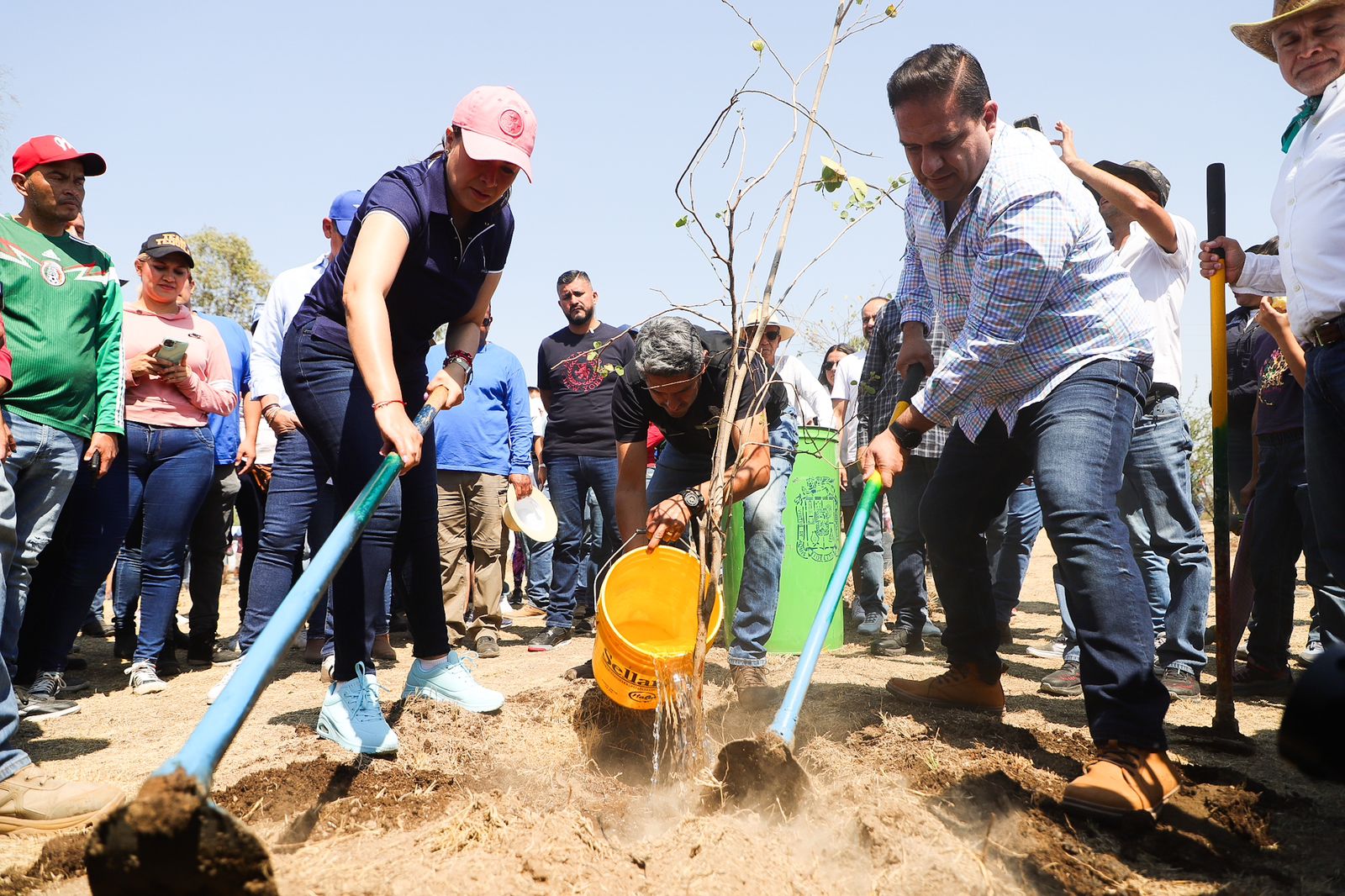 ENCABEZA TERE JIMÉNEZ JORNADA DE REFORESTACIÓN CON ESPECIES NATIVAS QUE TENDRÁN SEGUIMIENTO