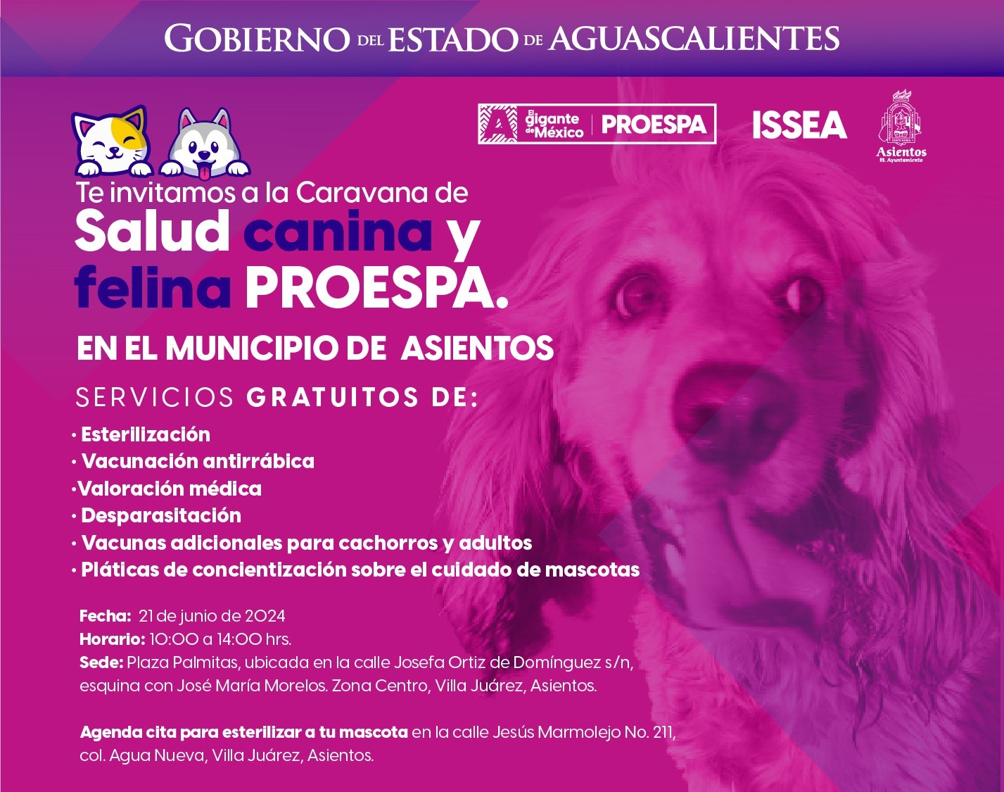 OFRECERÁN SERVICIOS VETERINARIOS GRATUITOS ESTE VIERNES EN EL MUNICIPIO DE ASIENTOS