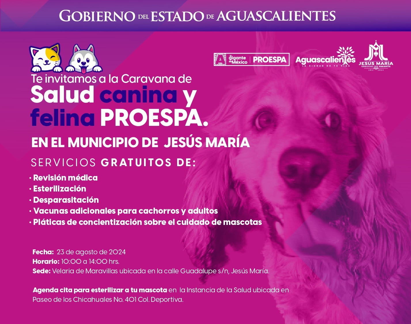 ESTE VIERNES, SERVICIOS VETERINARIOS, ESTERILIZACIONES Y VACUNAS GRATUITAS EN MARAVILLAS