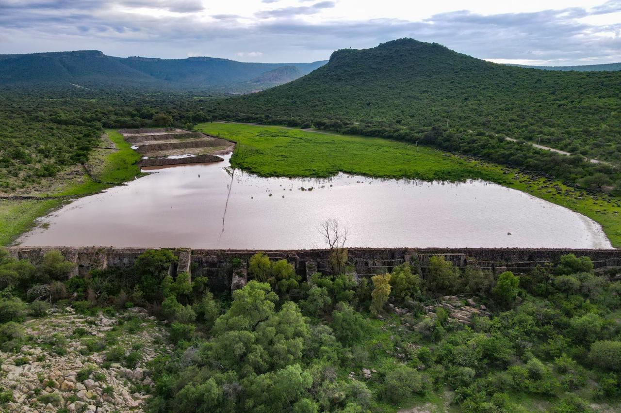 COSECHAS PROMETEDORAS; ALGUNAS PRESAS DE AGUASCALIENTES ALCANZAN SU MÁXIMO NIVEL