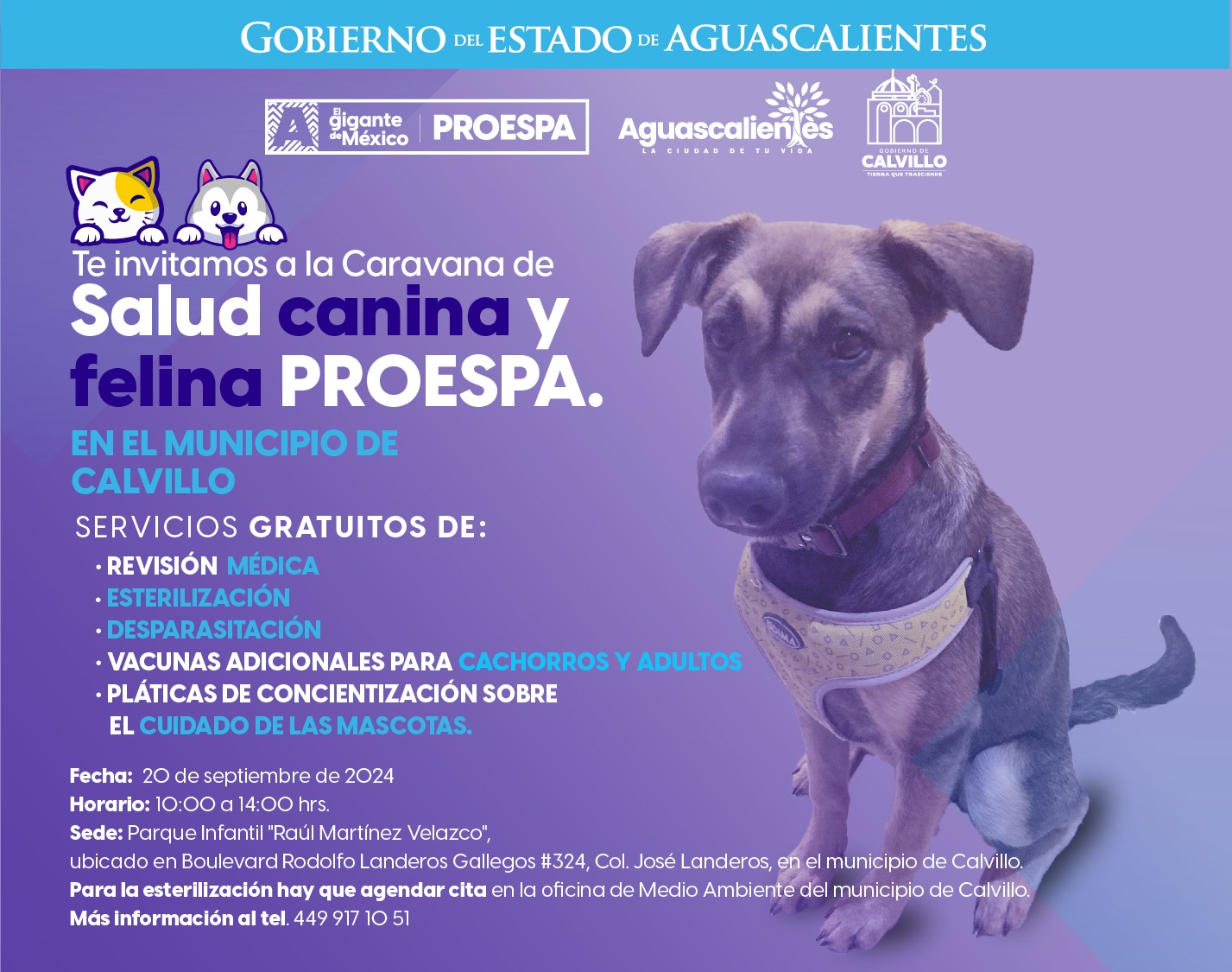 ESTE VIERNES, ATENCIÓN VETERINARIA GRATUITA PARA TU MASCOTA EN CALVILLO