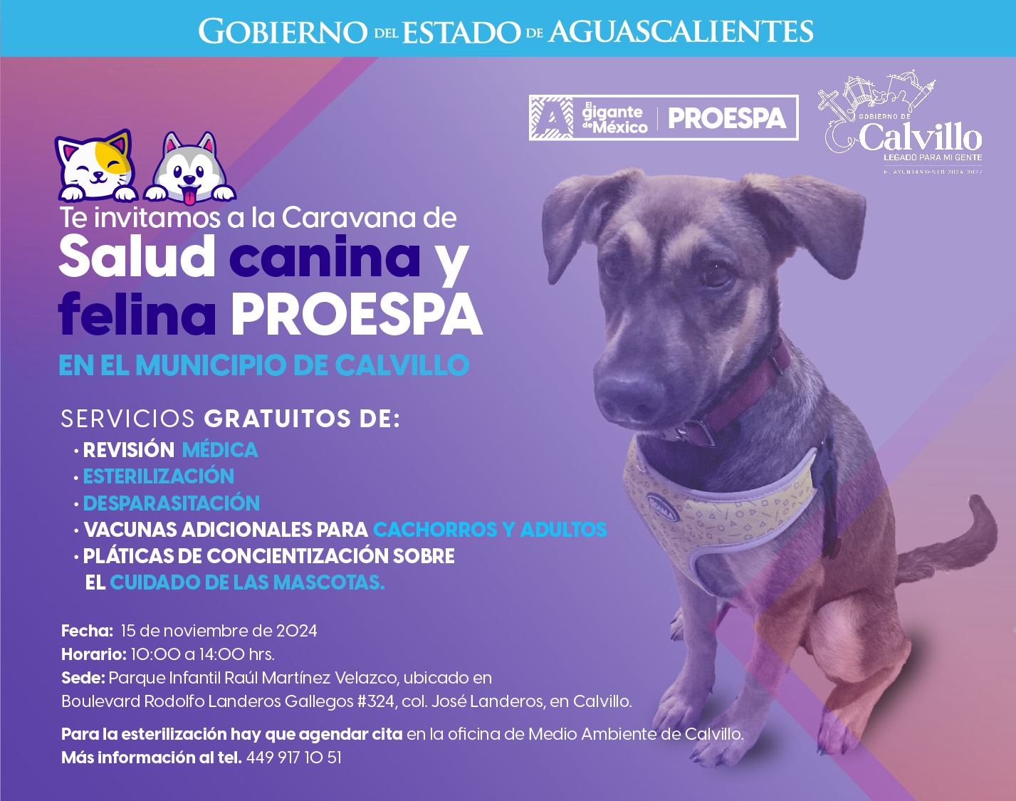 ATENCIÓN VETERINARIA GRATUITA PARA TUS MASCOTAS ESTE 15 DE NOVIEMBRE EN CALVILLO