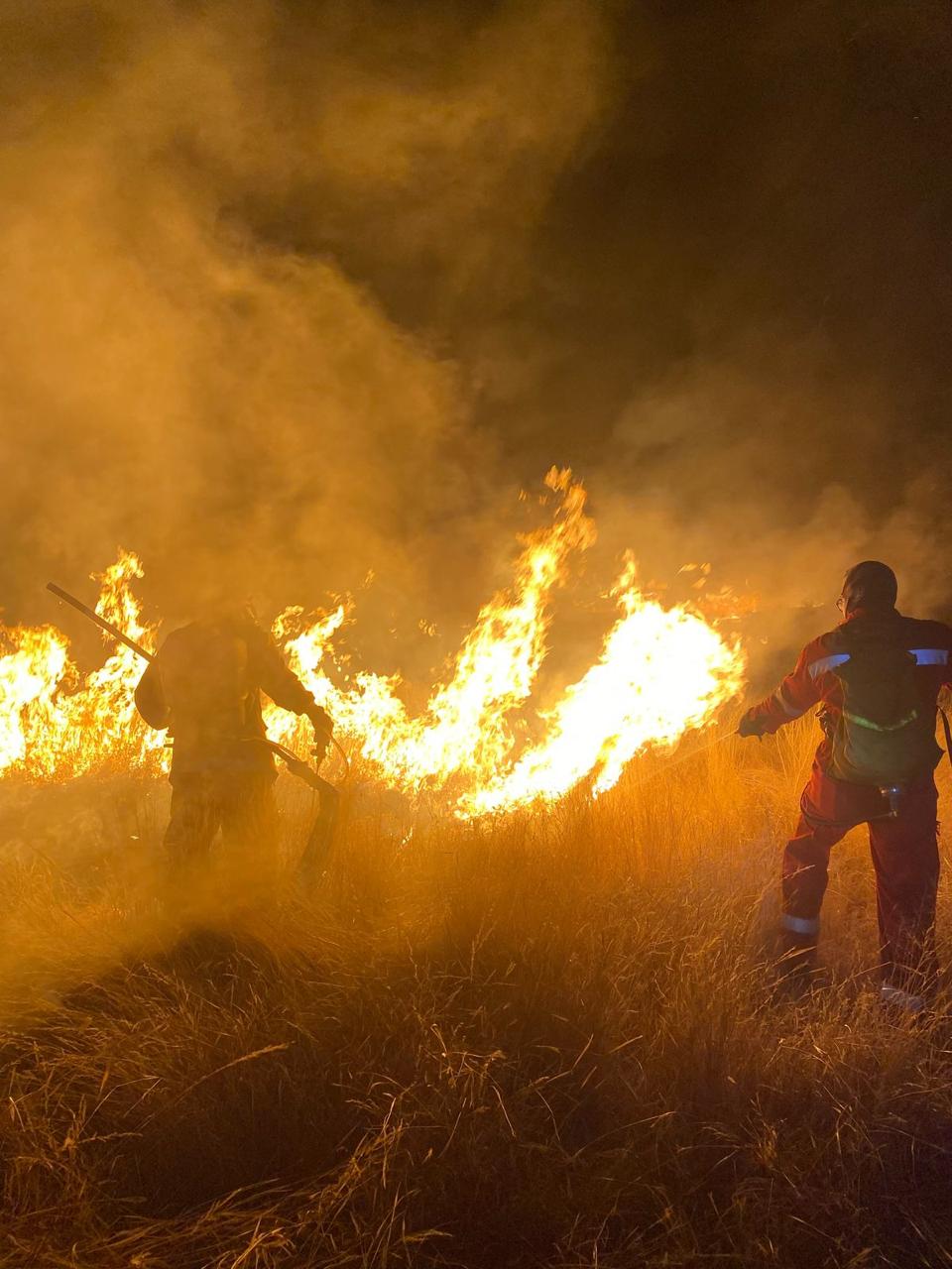GOBIERNO DEL ESTADO INVITA A PREVENIR Y REPORTAR INCENDIOS FORESTALES