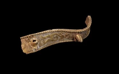 brazalete Un brazalete dorado con el perfil de un mono araña y dos picos cónicos, a manera de rosetones, fue repatriado recientemente, a través del Consulado General de México en Nueva York, Estados Unidos. Foto: Gerdo Piña / INAH