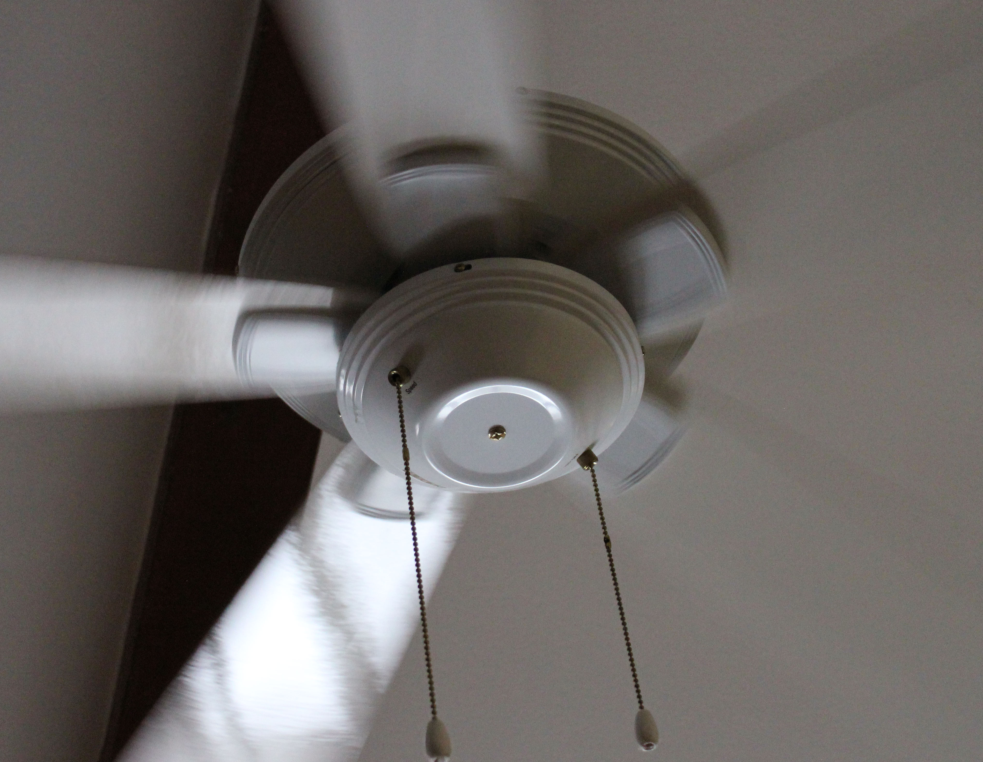 fan-motion