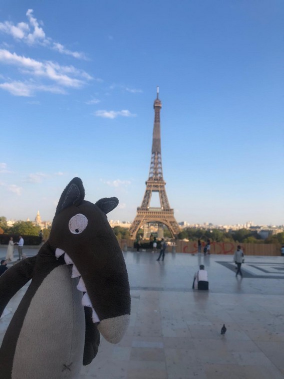 If you're just as interested as i am in improving your french skills, i've found that the best way to learn foreign languages is to have fun while you do it. Le Loup est Ã  Paris | La Mater de Vlynette