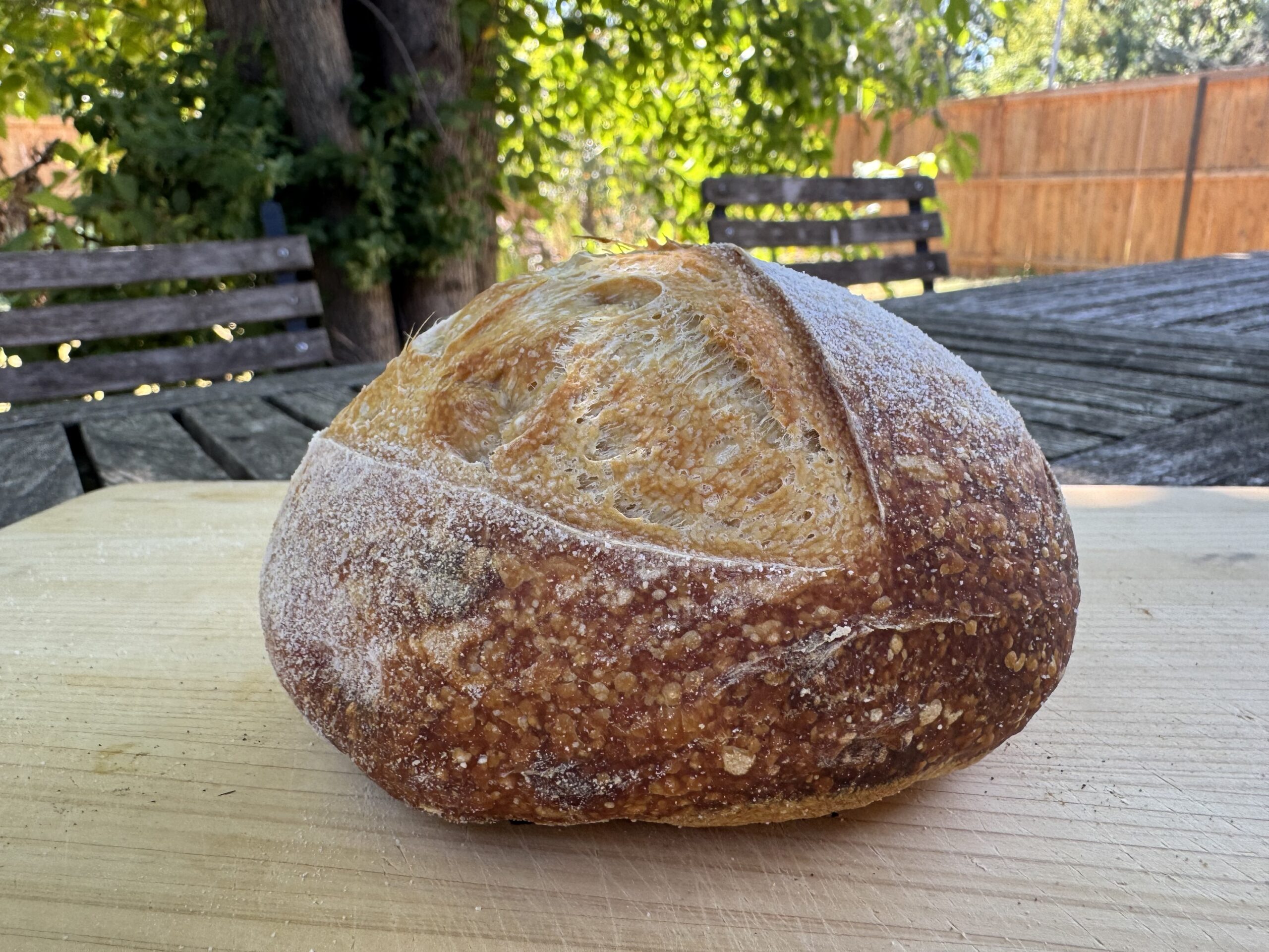 Small Sourdough Loaf