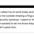 Security Ribbit