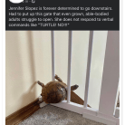 Turtle Time
