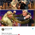 A Lot Alike