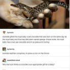 ReptileBook