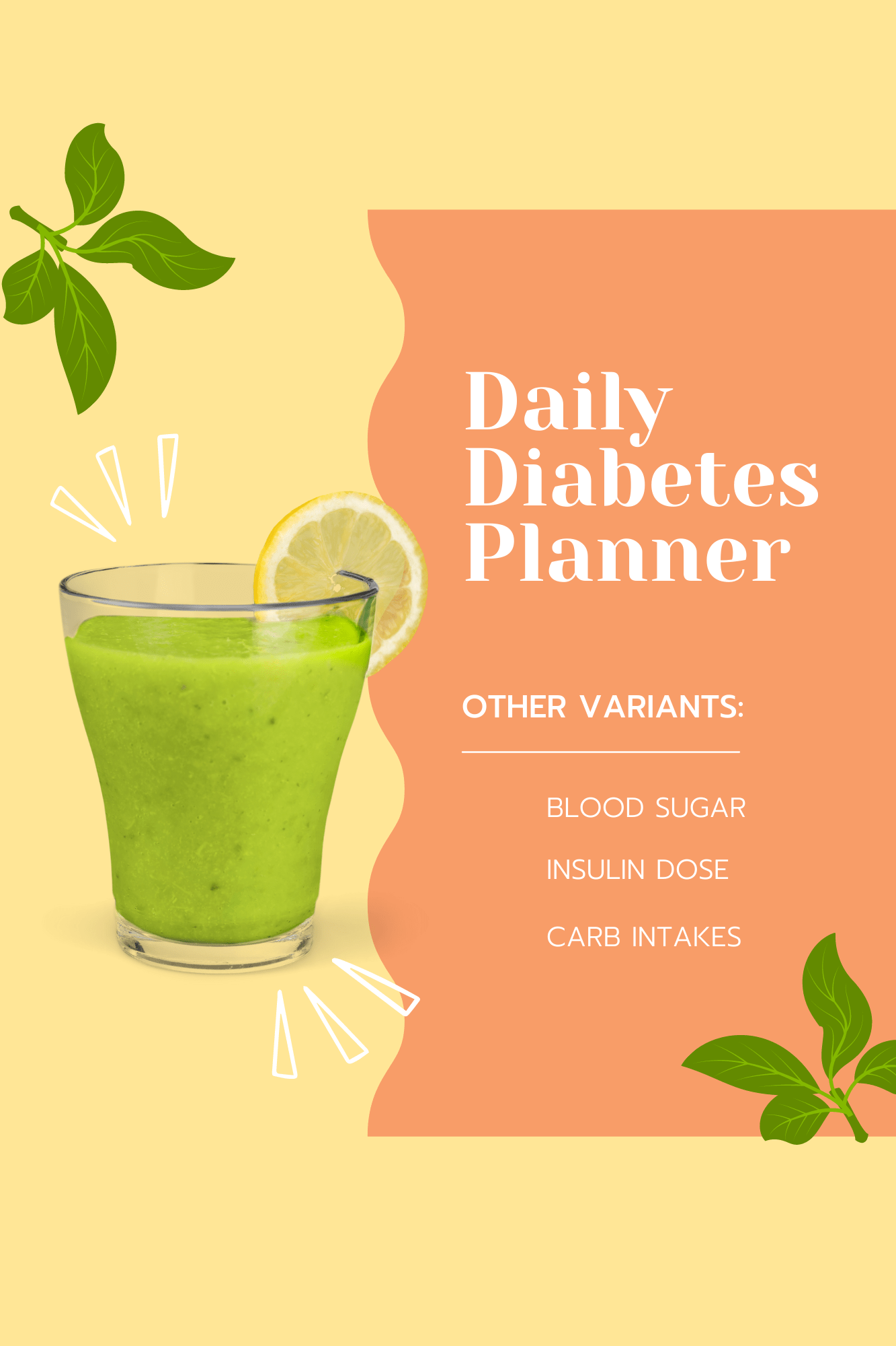 Daily Diabetes Planner