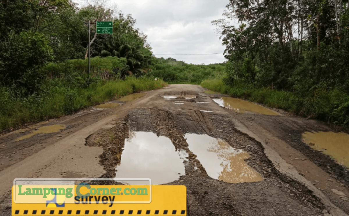 Jalan Sp Penumangan-Unit 6 Lambukibang yang rusak parah. FOTO: DINAS PUPR TUBABA