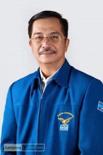 Sekretaris DPD Demokrat Lampung Julian Manaf. FOTO: Istimewa