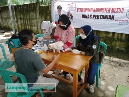 Dokter hewan menyuntikkan vaksin anti rabies. Foto: Istimewa