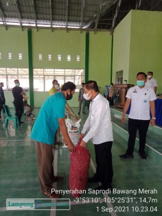 Bupati Mesuji salurkan bantuan benih bawang. Foto: Istimewa