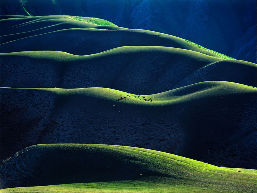 #Yili Xinjiang