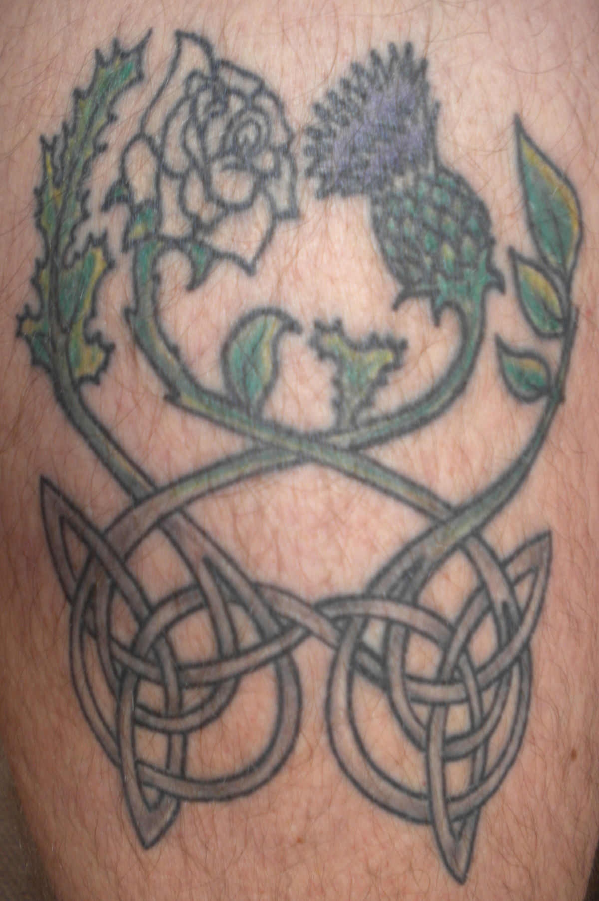 R&C_Coloured_Close_02